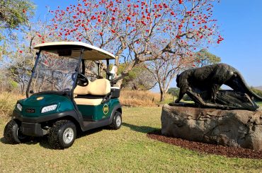 A photo of a Club Car Tempo next to one of the iconic statues at Leopard Creek